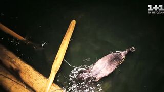 Китай, рыбалка с бакланами и другие способы