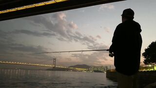 Гонконг - неожиданный улов в мегаполисе