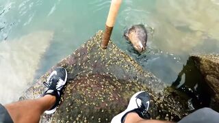 Гонконг - неожиданный улов в мегаполисе