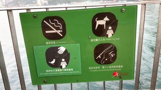 Гонконг - неожиданный улов в мегаполисе