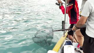 Морская рыбалка у берега это рабочая тема?