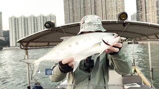 Морская рыбалка у берега это рабочая тема?