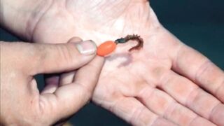 Геленджик: что и как ловить