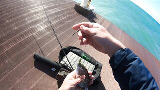 Геленджик: что и как ловить