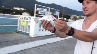 Геленджик, центральный причал. Что здесь ловят.