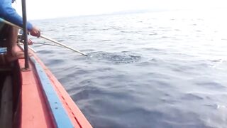 Као Лак - рыбалка в Таиланде