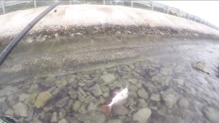 Варадеро, береговая рыбалка на Кубе и поиск чистых окон