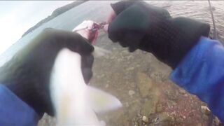 Варадеро, береговая рыбалка на Кубе и поиск чистых окон