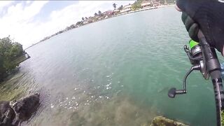 Варадеро, береговая рыбалка на Кубе и поиск чистых окон