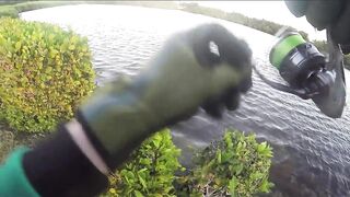 Варадеро, береговая рыбалка на Кубе и поиск чистых окон