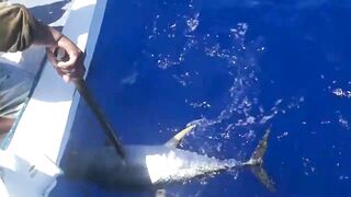 Сиаргао Филиппины морская рыбалка на рассвете и поиск свала