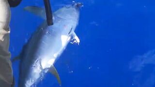 Сиаргао Филиппины морская рыбалка на рассвете и поиск свала