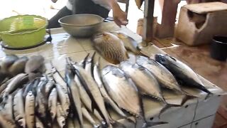 Сиаргао Филиппины морская рыбалка на рассвете и поиск свала