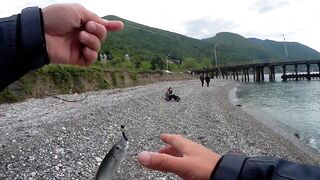 Гагра - рокфишинг по ставриде, прибрежные точки