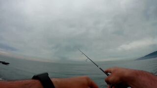 Гагра - рокфишинг по ставриде, прибрежные точки