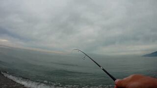 Гагра - рокфишинг по ставриде, прибрежные точки