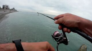 Гагра - рокфишинг по ставриде, прибрежные точки