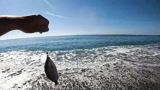 Гагра, рокфишинг в Абхазии на осенних точках