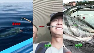 Mexico (Мексика): на что хватит $200 для рыбалки