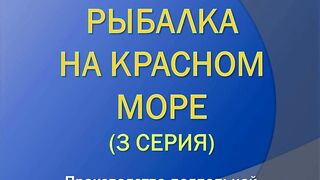 Марса-Алам: рыбалка на Красном море, короткий выезд у пирса