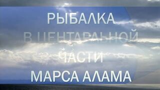Марса-Алам: рыбалка на Красном море, короткий выезд у пирса