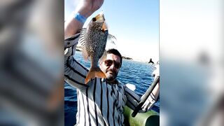 Марса-Алам: рыбалка на Красном море, короткий выезд у пирса