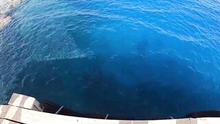 Порт Галиб и Марса-Алам, прогулка по территории и рыбалка с пирса