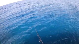 Порт Галиб и Марса-Алам, прогулка по территории и рыбалка с пирса