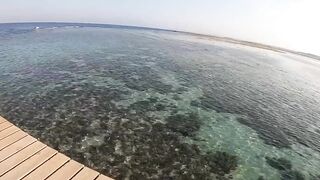 Порт Галиб и Марса-Алам, прогулка по территории и рыбалка с пирса