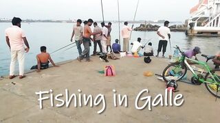 Galle (Галле) Sri Lanka (Шри-Ланка). Морская рыбалка у берега.