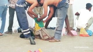 Galle (Галле) Sri Lanka (Шри-Ланка). Морская рыбалка у берега.