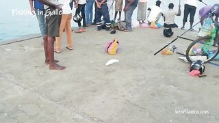 Galle (Галле) Sri Lanka (Шри-Ланка). Морская рыбалка у берега.