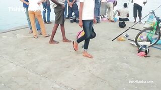 Galle (Галле) Sri Lanka (Шри-Ланка). Морская рыбалка у берега.