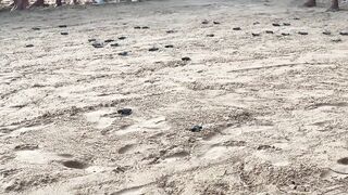 Шри-Ланка по морской рыбалке у свала что посоветуете?