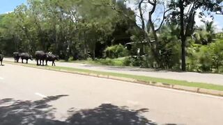 Шри-Ланка по морской рыбалке у свала что посоветуете?