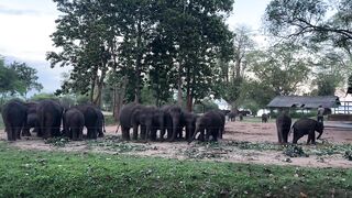 Шри-Ланка по морской рыбалке у свала что посоветуете?