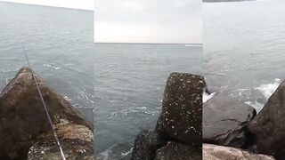 П. Новомихайловский, морская рыбалка в Краснодарском крае