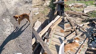 Конаклы - морская рыбалка у пляжа, короткий поиск точек