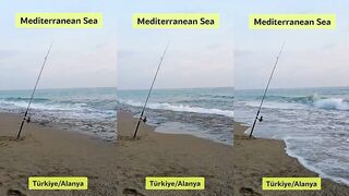 Средиземное море у Alanya (Алания) и Antalya (Анталья) кто подскажет по рыбалке?