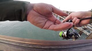 Белек рокфишинг и спиннинг с берега это норм тема?