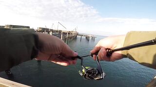 Белек рокфишинг и спиннинг с берега это норм тема?