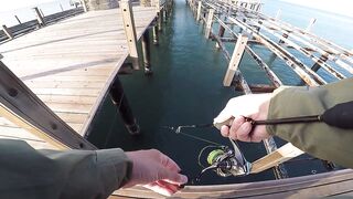 Белек рокфишинг и спиннинг с берега это норм тема?