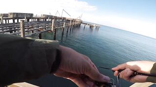 Белек рокфишинг и спиннинг с берега это норм тема?