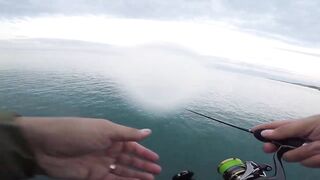 Белек рокфишинг и спиннинг с берега это норм тема?