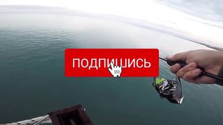 Белек рокфишинг и спиннинг с берега это норм тема?