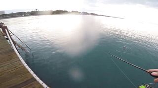 Белек рокфишинг и спиннинг с берега это норм тема?