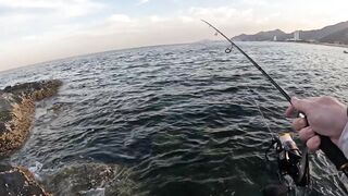 Особенности берегового спиннинга в ОАЭ (Фуджейра, Оманский залив)