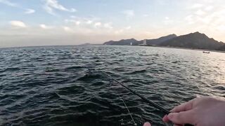 Особенности берегового спиннинга в ОАЭ (Фуджейра, Оманский залив)