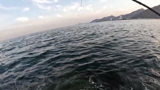 Особенности берегового спиннинга в ОАЭ (Фуджейра, Оманский залив)