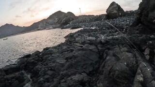 Особенности берегового спиннинга в ОАЭ (Фуджейра, Оманский залив)